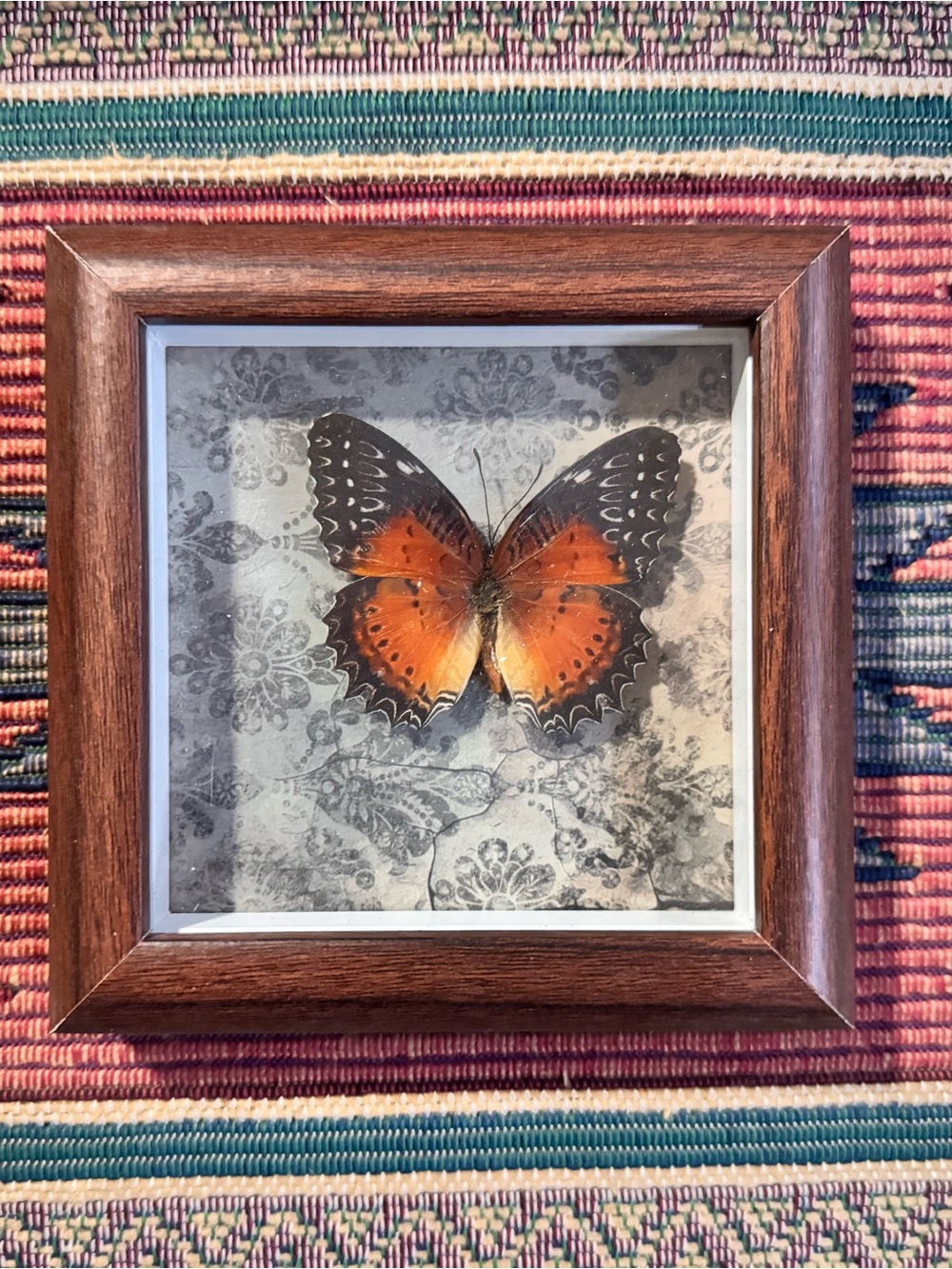 Framed Orange Butterfly Wall Art -